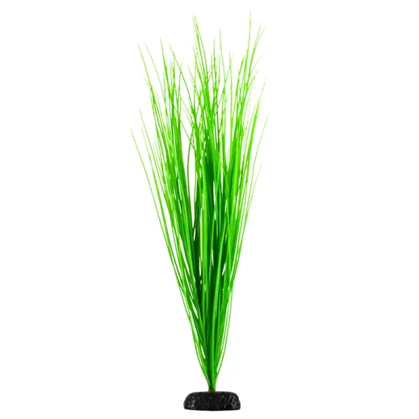 Underwater Treasures Pp Green Hairgrass 24In